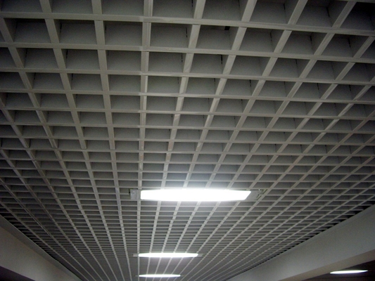 Водоустойчивый потолок решетки ядровой абсорбции алюминиевый для станции метро